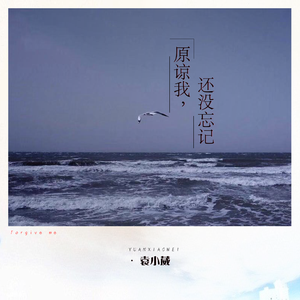 人间水蜜桃刘亦菲最惊艳的图片
